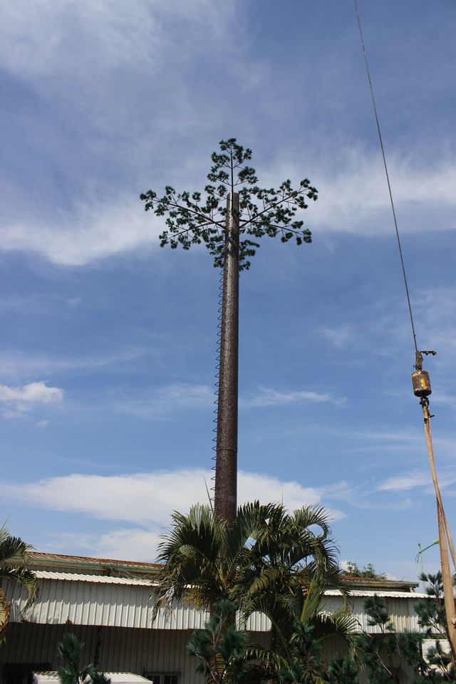 cột anten cây thông
