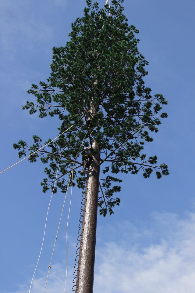 cột anten cây thông